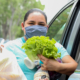 Food Bank client loads food into her car during COVID-19.