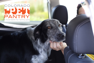 Image of a dog in the backseat of a car with the Colorado Pet Pantry logo.