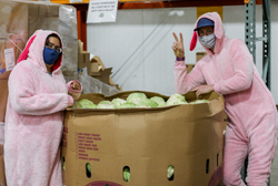 Food Bank team members dressed as bunnies.